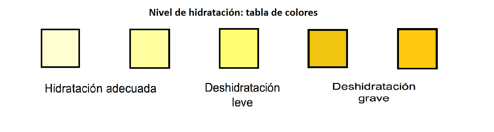 Resultado de imagen de color orina hidratacion