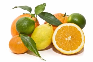 Naranjas y citricos variados
