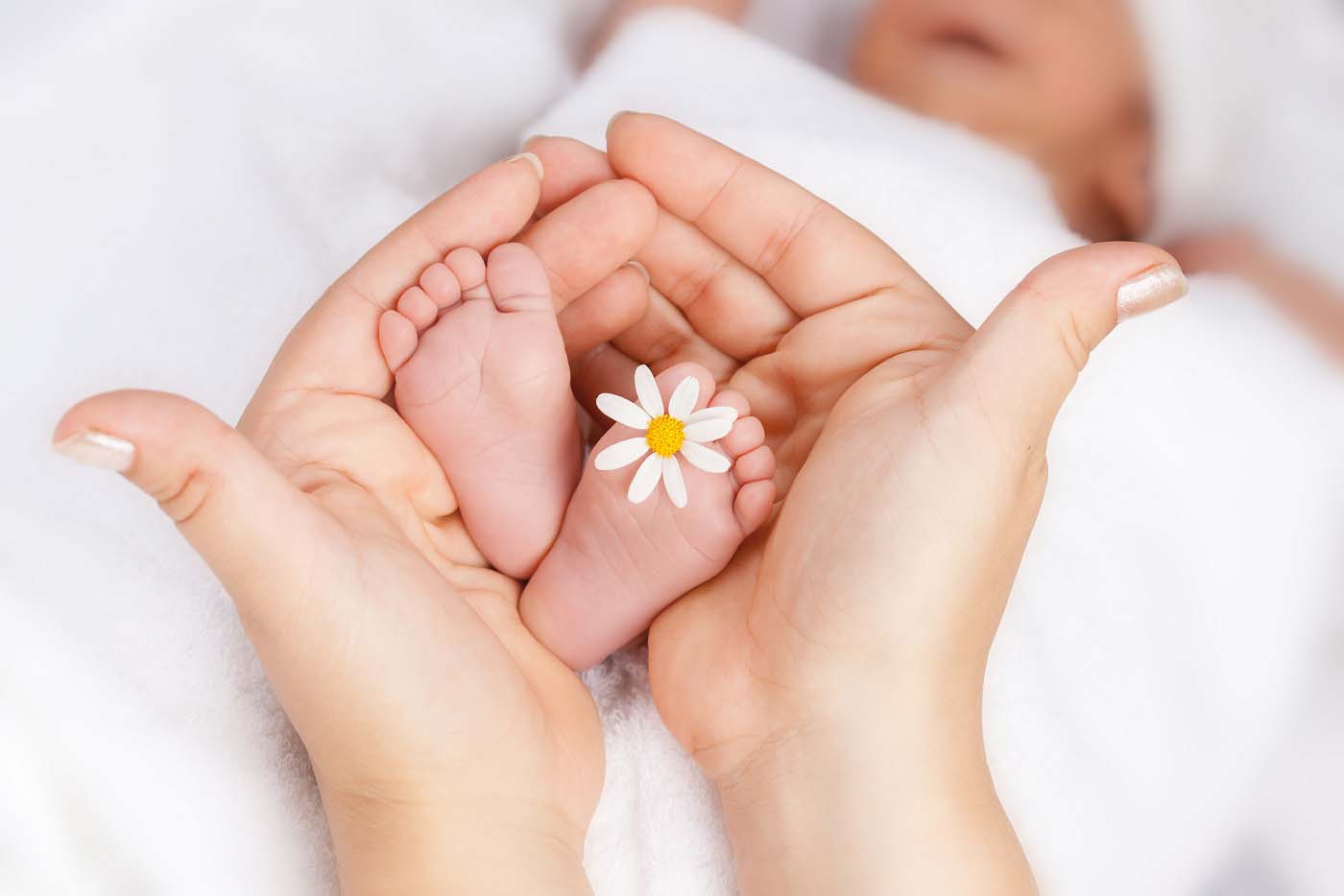 Lovely infant foot with little white daisy in mothers hands