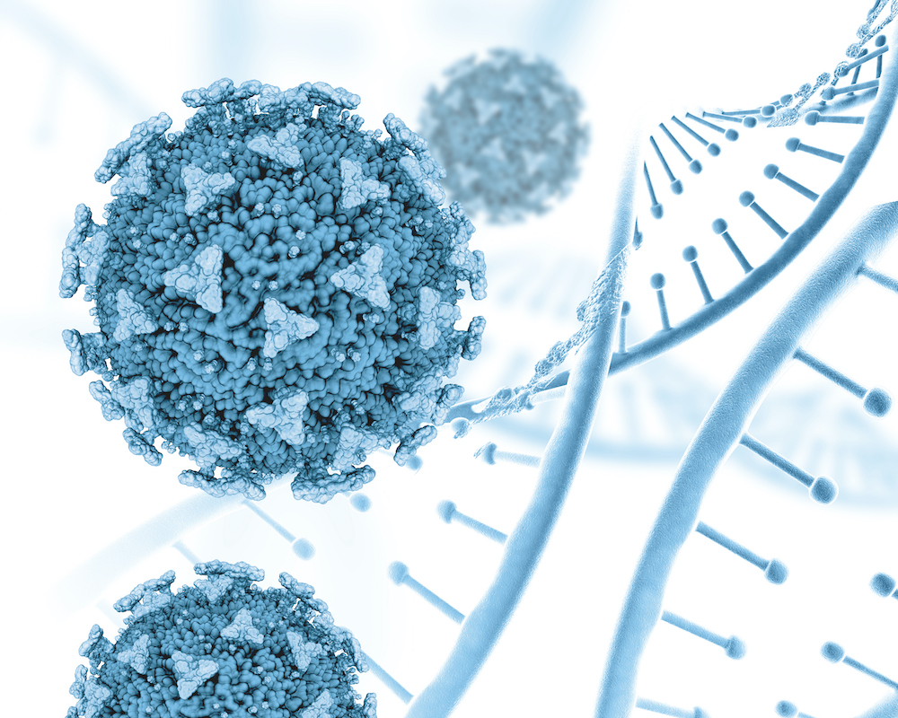 El cáncer y una visión de realidad